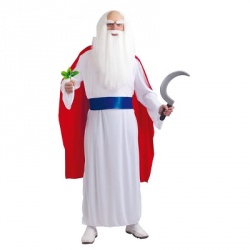 Adult Druid costume