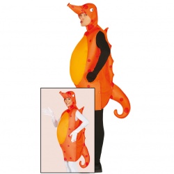 Sea horse costume