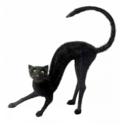"BLACK CAT" fuzzy - 48x57x27 cm