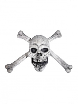 Skull and Bones