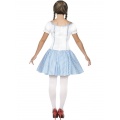 Dorothy Costume 