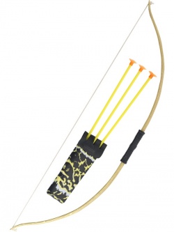 Bow and Arrow Set