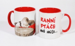 RANNÍ PTÁČE
