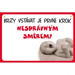 Cedulka brzy vstavat