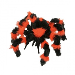 Spider Black/Orange