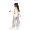 Angel Princess Costume