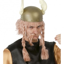 Viking Wig Set