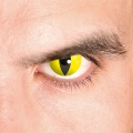 Contact Lenses - Thriller yellow cat