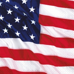 16 Beverage Napkins USA