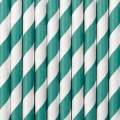 Paper Straws - Turquoise