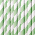 Striped Paper Straws - Mint