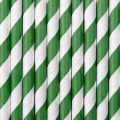 Striped Paper Straws - Green