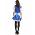 Fever Alice Costume