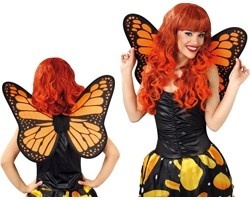 Butterfly Wings